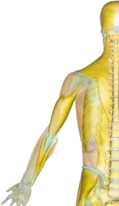 sports massage in south wales
